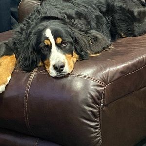 Meet your Posher, Jonathan